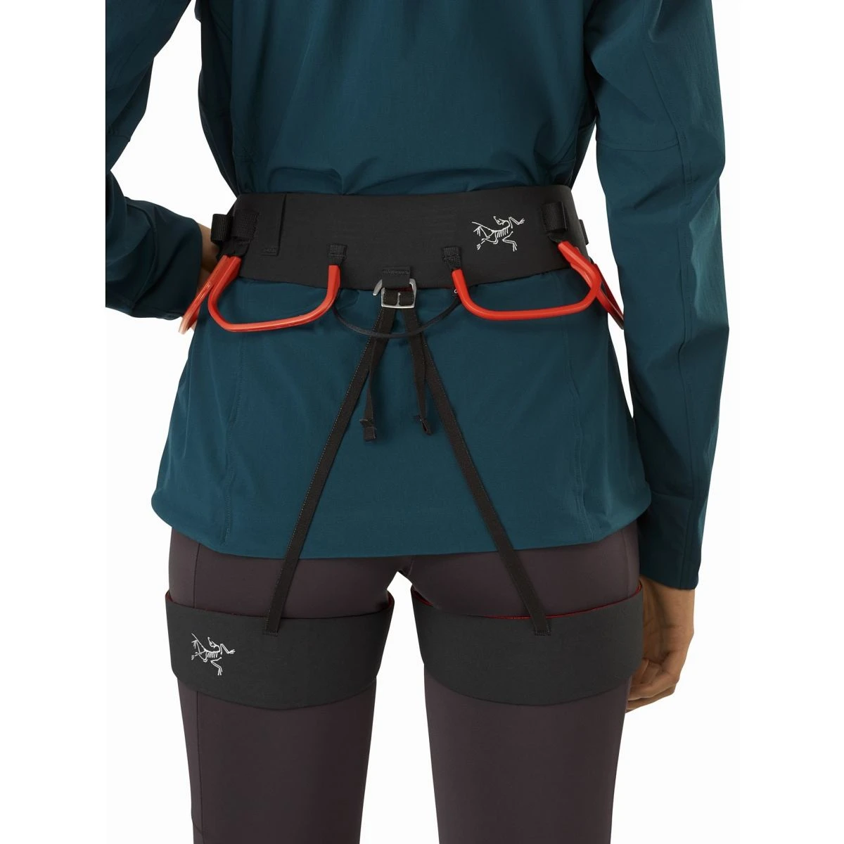 Arc'teryx C-Quence Harness - Women's - Image 5