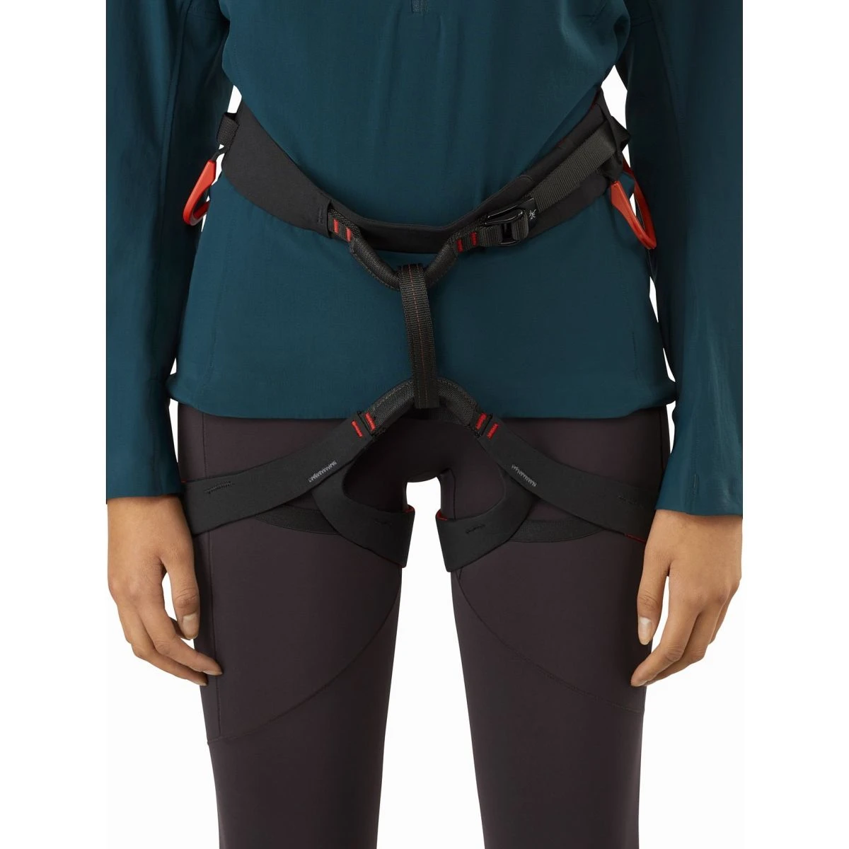 Arc'teryx C-Quence Harness - Women's - Image 2
