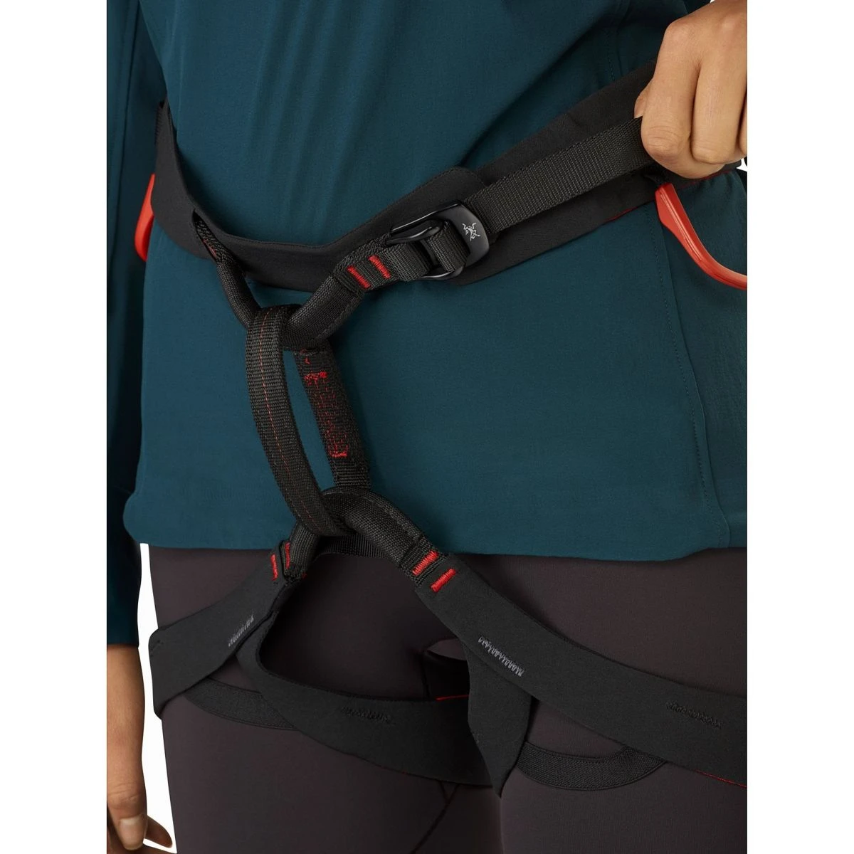 Arc'teryx C-Quence Harness - Women's - Image 3