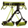 Camp Alpine Flash Harness